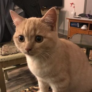 Meet your Posher, Lilly